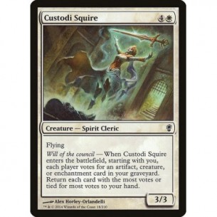 Custodi Squire