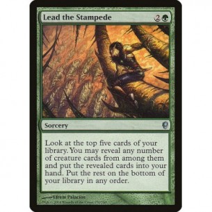 Lead the Stampede