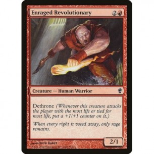 Enraged Revolutionary