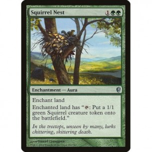 Squirrel Nest