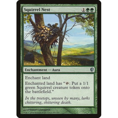 Squirrel Nest