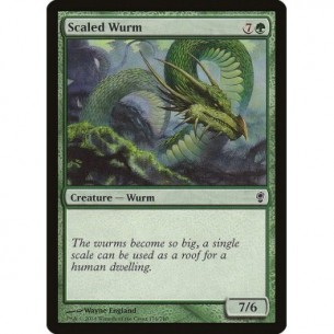 Scaled Wurm