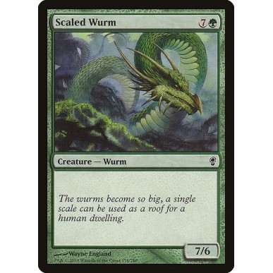 Scaled Wurm