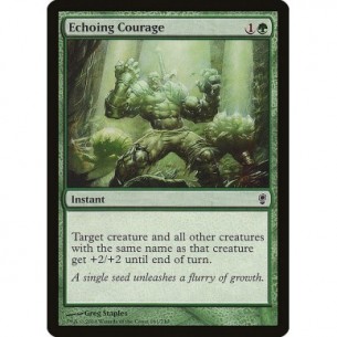 Echoing Courage