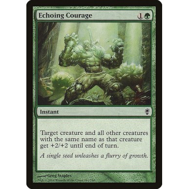 Echoing Courage