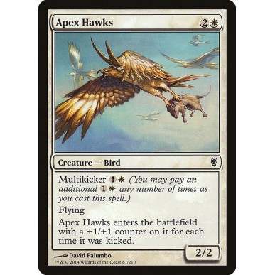 Apex Hawks