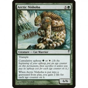 Nishoba Artico