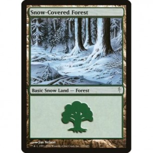 Foresta Innevata