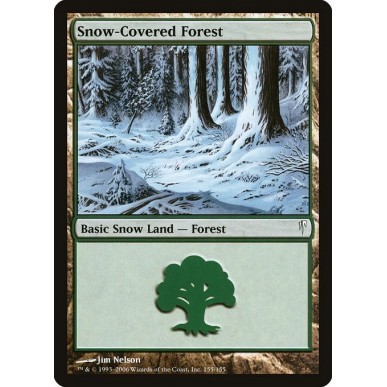 Foresta Innevata