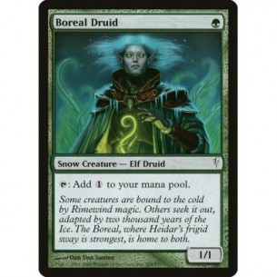 Druido di Borealia