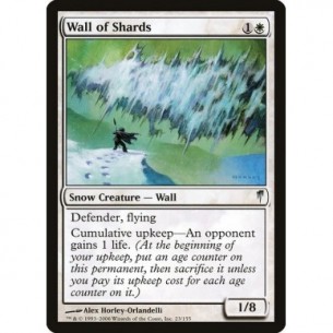 Muro di Frammenti