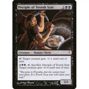 Discepolo di Tevesh Szat