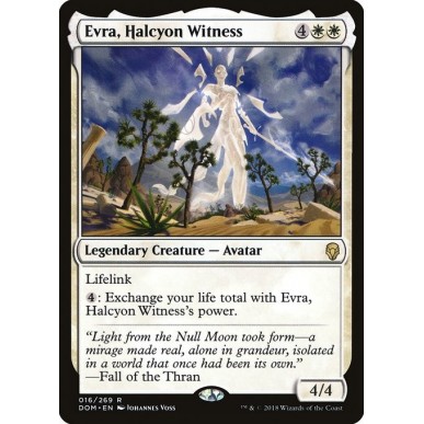 Evra, Halcyon Witness