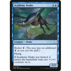 Academy Drake