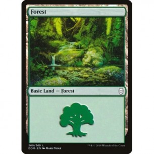 Foresta