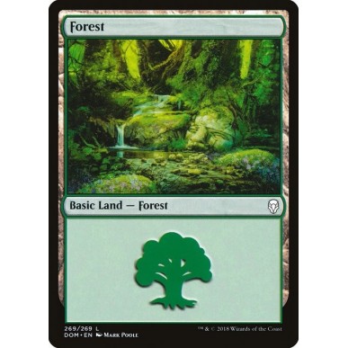 Foresta