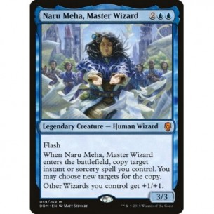 Naru Meha, Master Wizard