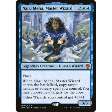 Naru Meha, Master Wizard