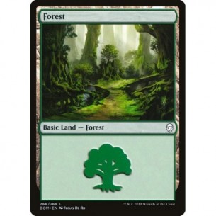 Foresta