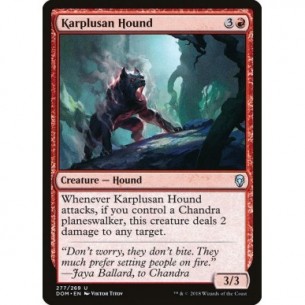 Karplusan Hound
