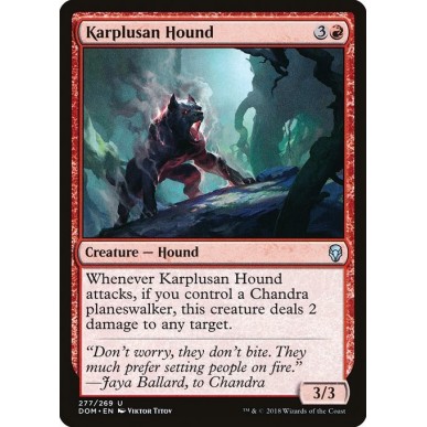 Karplusan Hound