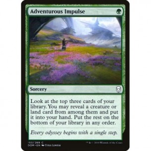 Adventurous Impulse