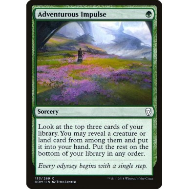 Adventurous Impulse