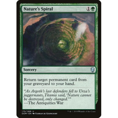 Spirale della Natura