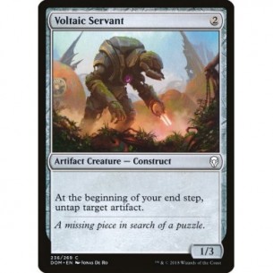 Voltaic Servant