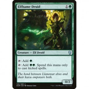 Druida del Regno Elfico