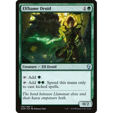 Druida del Regno Elfico
