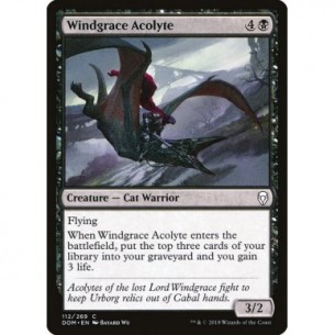 Windgrace Acolyte