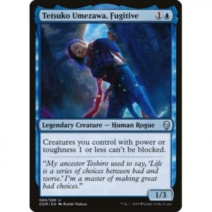 Tetsuko Umezawa, Fuggitiva