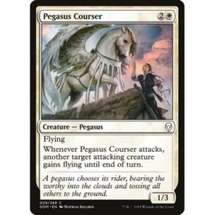 Pegasus Courser