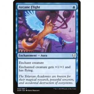 Arcane Flight