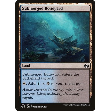 Submerged Boneyard
