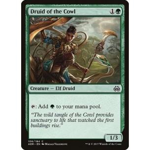 Druida della Cappa