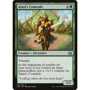 Camerata di Ajani