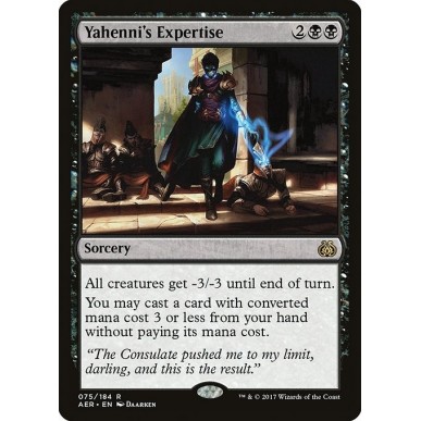 Yahenni's Expertise