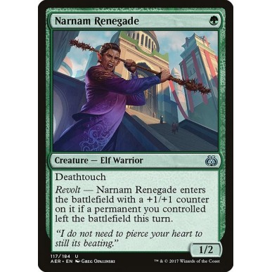 Rinnegato di Narnam