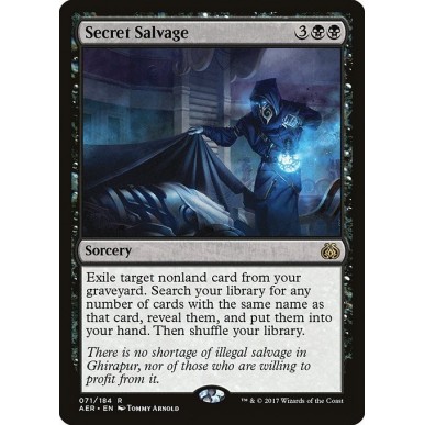 Secret Salvage
