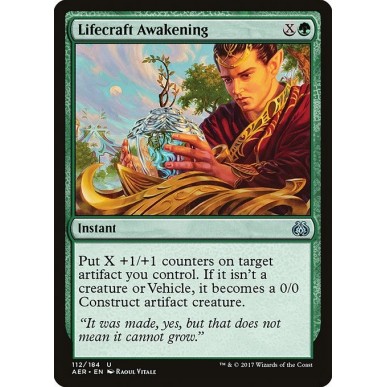 Lifecraft Awakening
