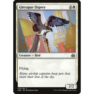 Falco Pescatore di Ghirapur
