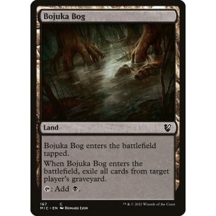 Acquitrino di Bojuka