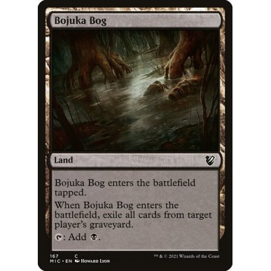 Acquitrino di Bojuka