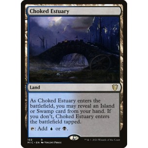 Choked Estuary