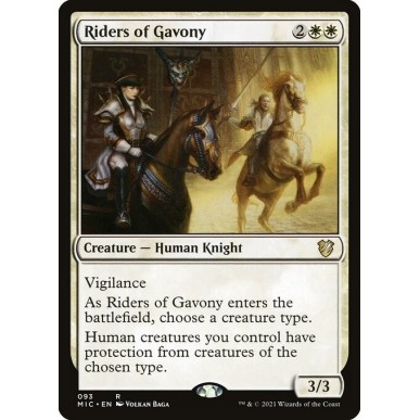 Cavalieri di Gavony