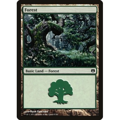 Forest