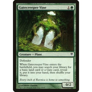 Gatecreeper Vine