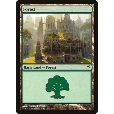 Forest